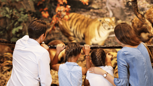 Can You Bring Food Into a Children's Museum